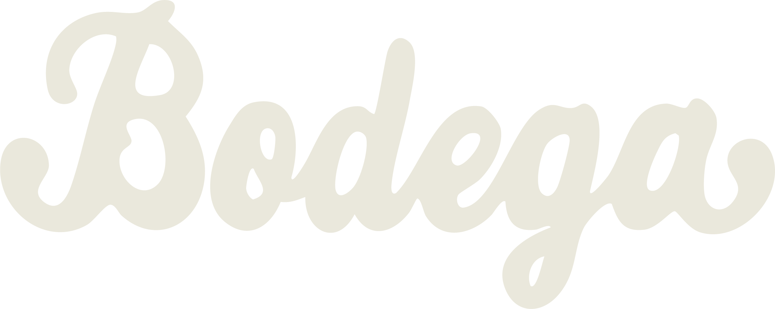 Bodega