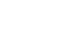 Eagle Icon